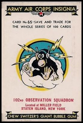 65 102nd Observation Squadron